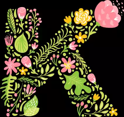 vectores plantilas ALFABETO,FLOR,